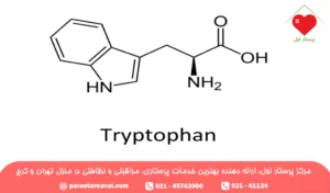 تریپتوفان چیست؛ تاثیرات و فواید اسید آمینه Tryptophan