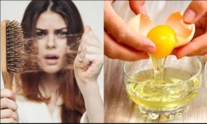 استفاده از تخم مرغ برای کاهش ریزش مو 