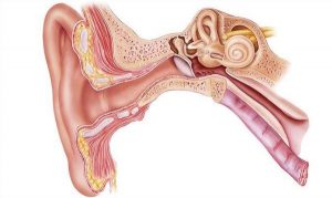 علل عفونت گوش
