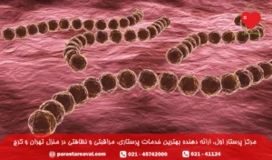 تب مالت چیست؛ علائم و عوارض بروسلوزیس