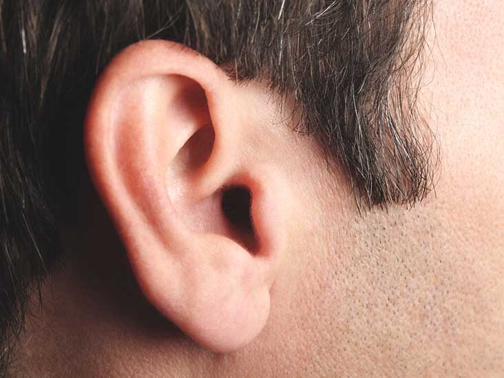 گوش خارجی چیست؟