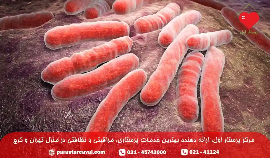 بیماری سل چیست