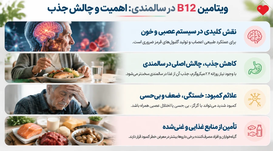ویتامین B12 در سالمندی
